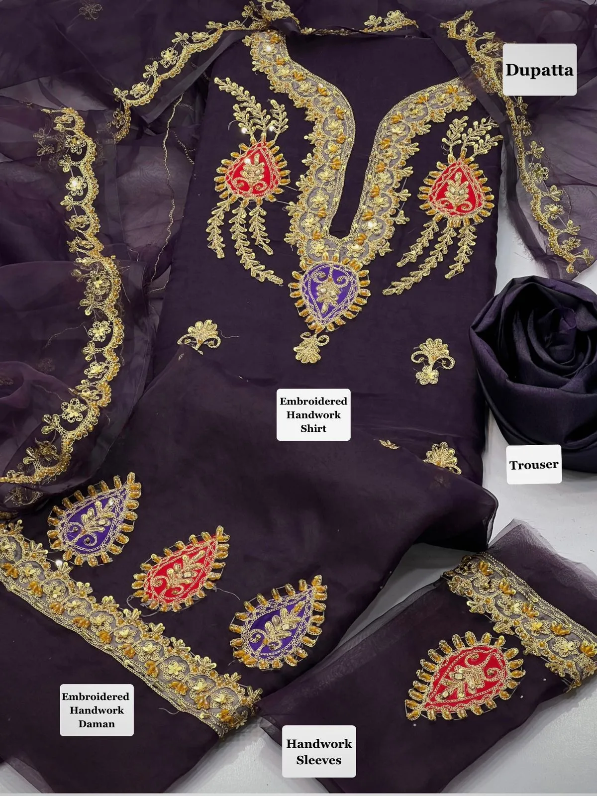 Anaya B Organza Handwork Suit 2026 (4)