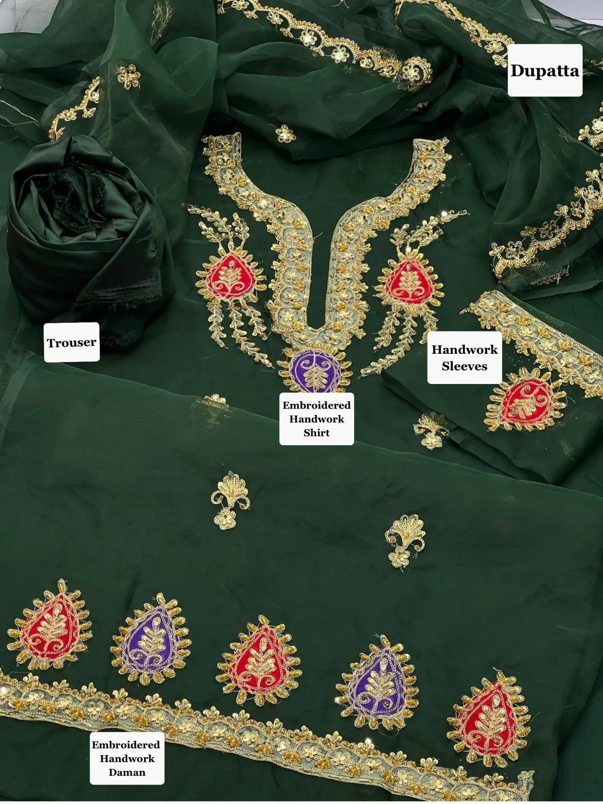 Anaya B Organza Handwork Suit 2026 (6)