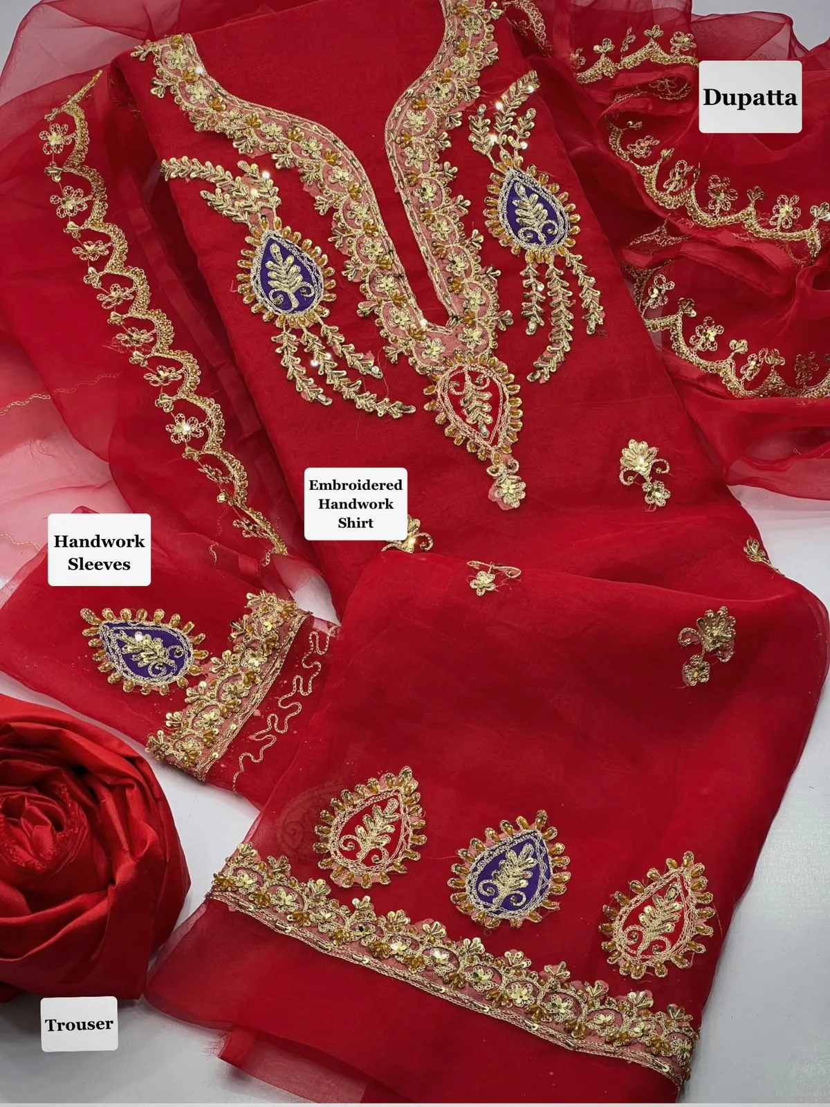 Anaya B Organza Handwork Suit 2026 (9)