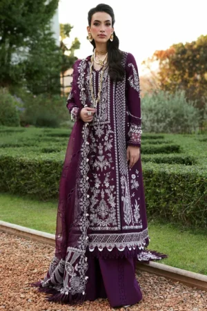 Crimson Chickenkari Cotton Suit 2026 (13)