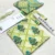 DS-1