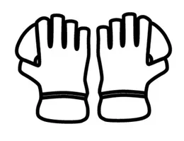 Cricket Gloves