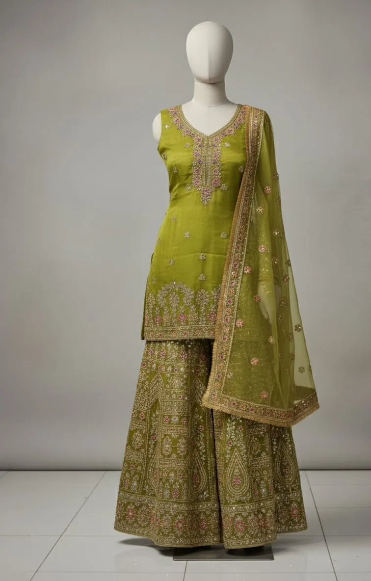 Organza Tissue Sharara Set (4)