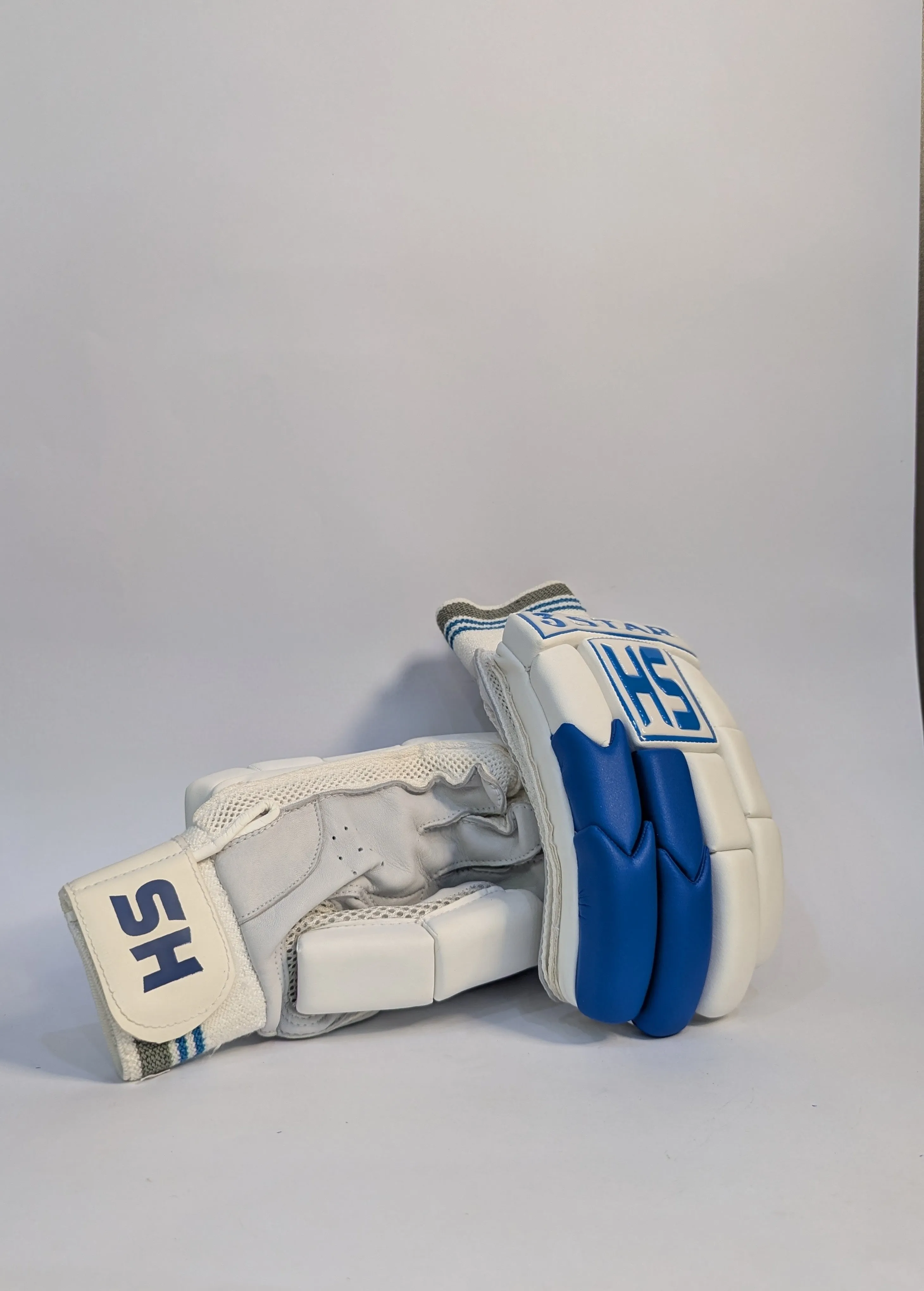 HS 3 Star Batting Gloves | Professional Cricket Batting Gloves